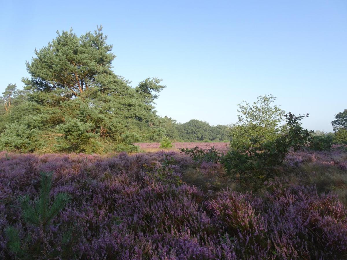 Veluwe Park Reewold Chalet Eclipse Putten Exteriér fotografie
